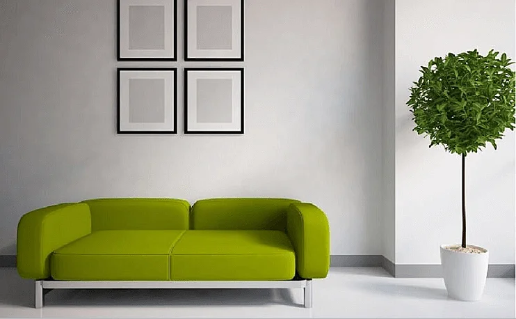 a green sofa